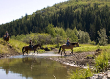 Canada-Alberta-Southern Alberta Ranch